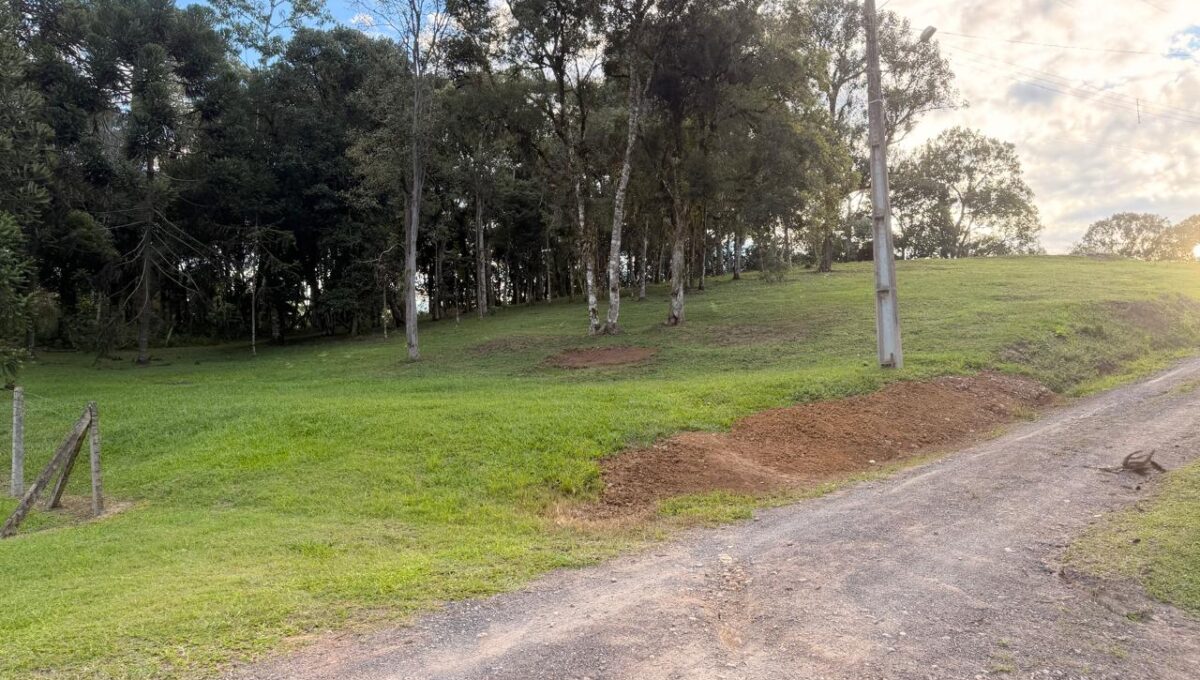 WhatsApp Image 2026-04-20 at 16.16.09